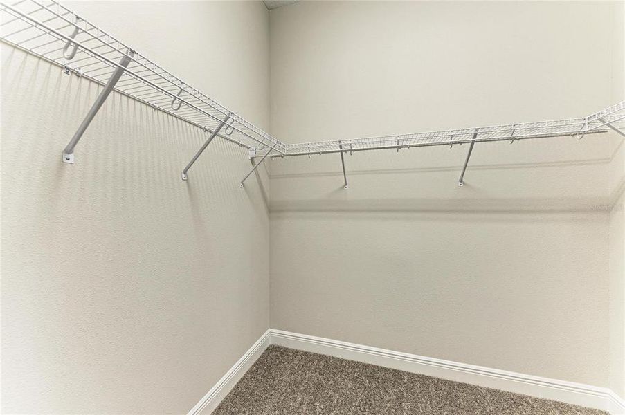 Spacious, unfurnished interior of a new home in Hawkstone, Lithia (Image 33).