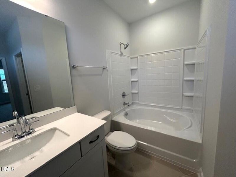 IMG_5041 (Medium) IMG_5041 (Medium)