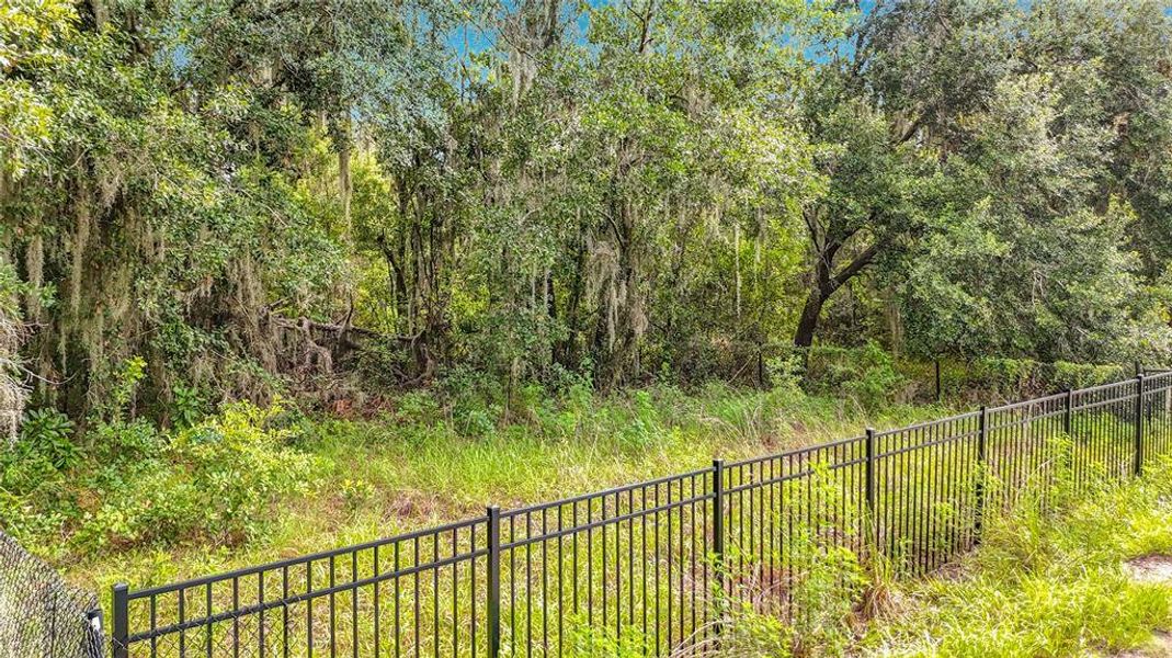 Natural landscape and outdoor views near  in Lithia (Image 35).