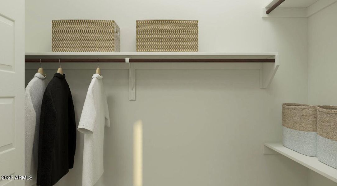 Owners Walk in Closet