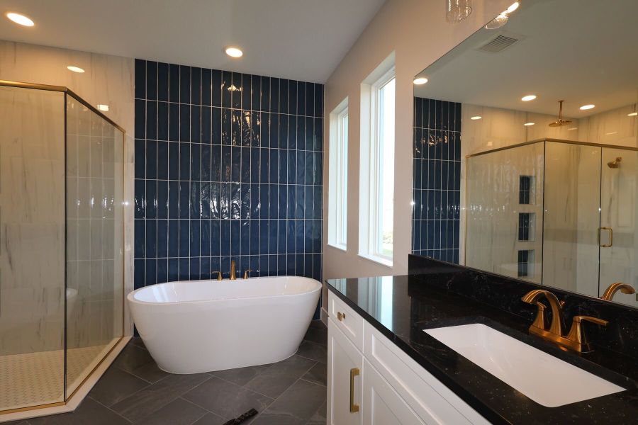 Owner's Bathroom