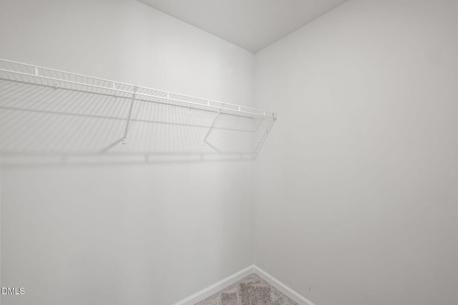 50-web-or-mls-P1119359