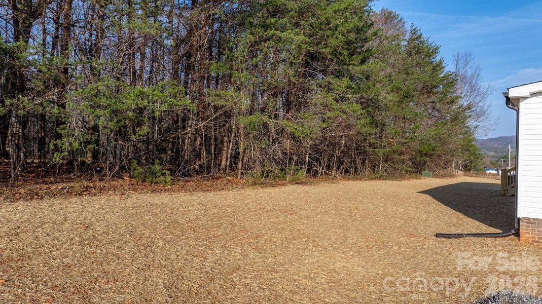 Natural landscape and outdoor views near  in Connelly Springs (Image 34).