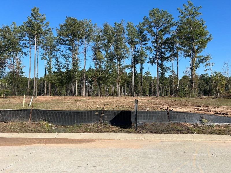 Image 8 of a home in The Highlands 60'. Image 8 of a home in The Highlands 60'.