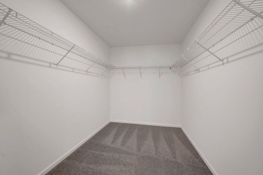 Owner's Closet