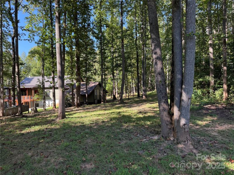 Looking toward back yard