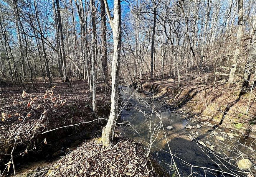Natural landscape and outdoor views near  in Cumming (Image 3).
