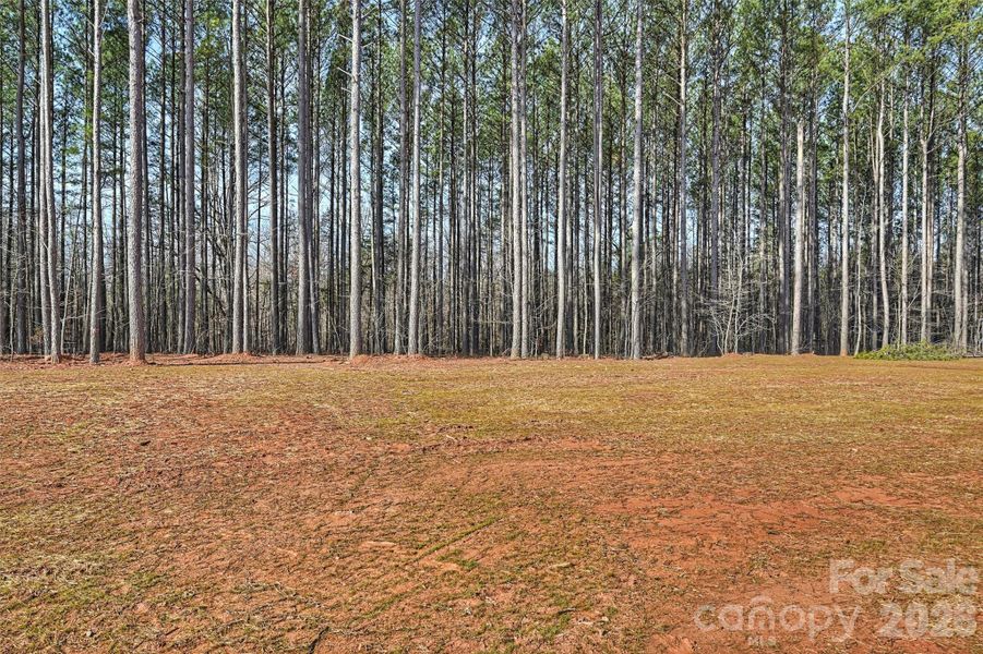 Natural landscape and outdoor views near  in Lincolnton (Image 41).