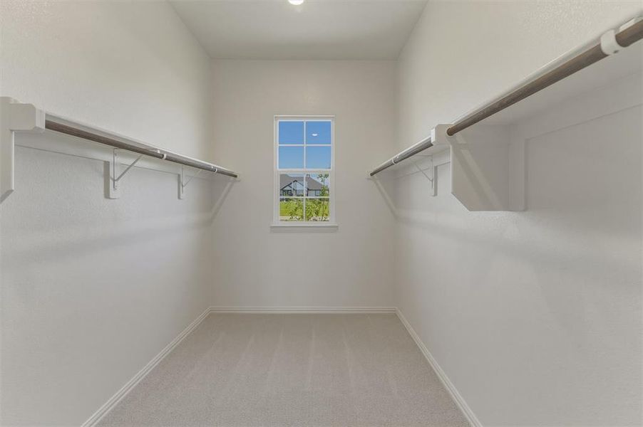 Walk-in closet featuring light gray carpet, a centered window, and dual clothing rods with shelving