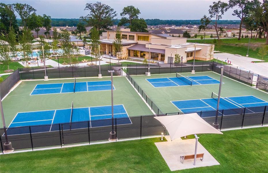 Amenity Center Courts