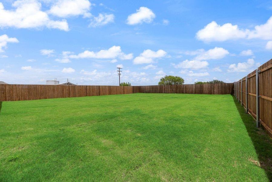 El Dorado-Concept 1937-LD-S-284 Coronado Court-Backyard1-Risewell Homes