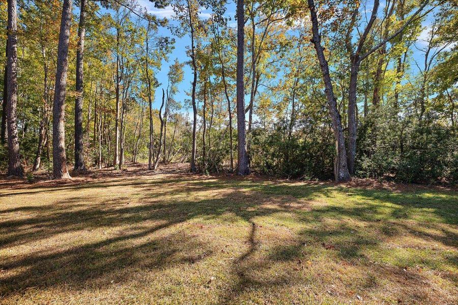 Natural landscape and outdoor views near  in Hanahan (Image 31).