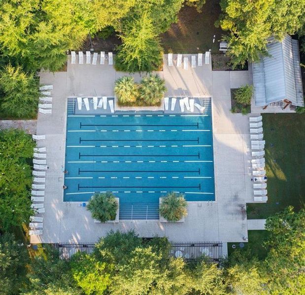 Forest Island-Fitness Pool