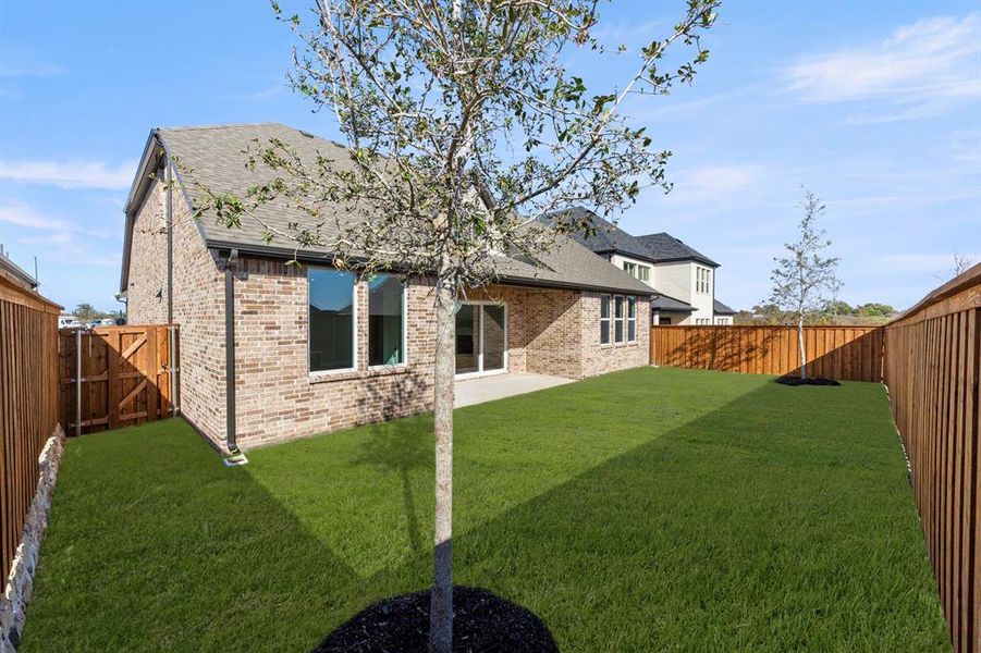 27. 2219 Morris - Back (2) 27. 2219 Morris - Back (2)