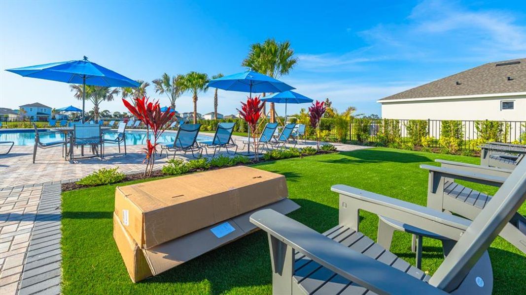 Community amenities in Indigo Creek, Apollo Beach (Image 63).