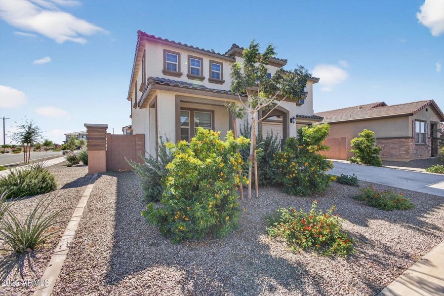 Front Yard Front Yard