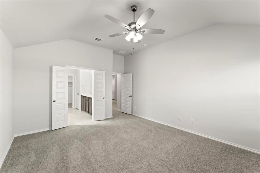 19. 116 Coyote - Primary (2) 19. 116 Coyote - Primary (2)