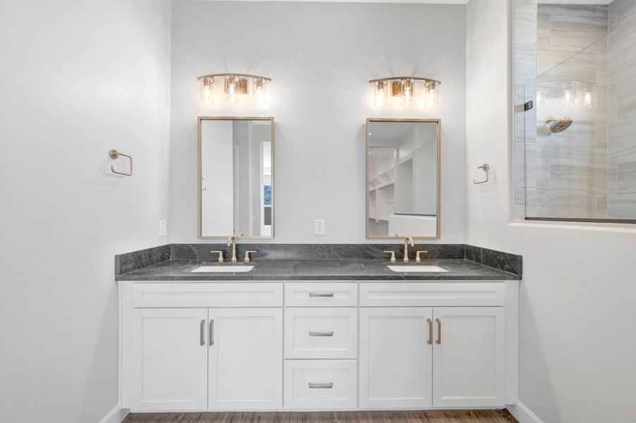 Owner's Bath Owner's Bath