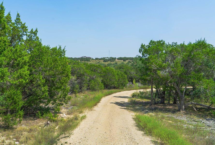 Natural landscape and outdoor views near  in Austin (Image 12).