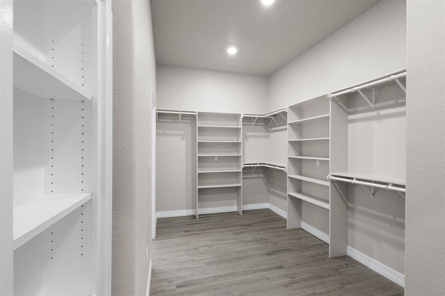 Walk in closet featuring light wood-style flooring
