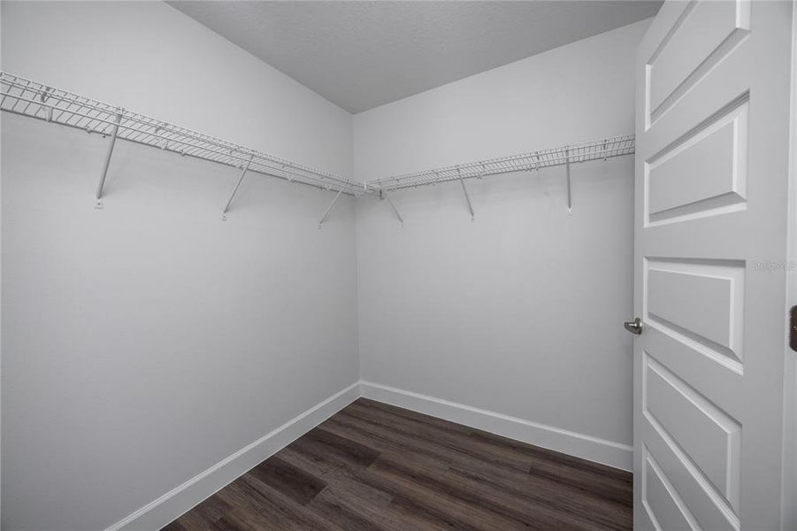 Spacious, unfurnished interior of a new home in Savannah Station, Alachua (Image 28).