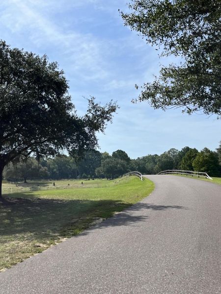 Natural landscape and outdoor views near  in Johns Island (Image 30).