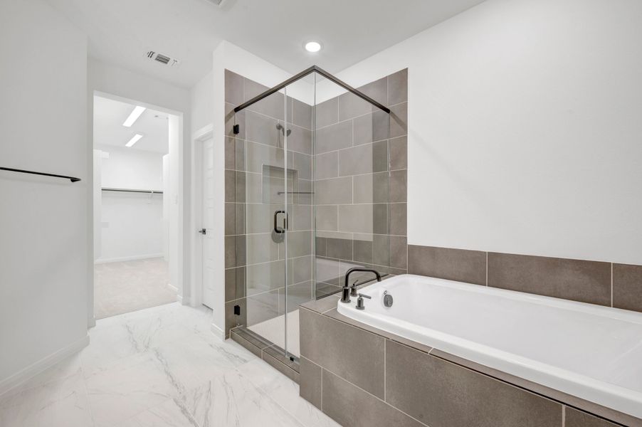 Owner's Bath
