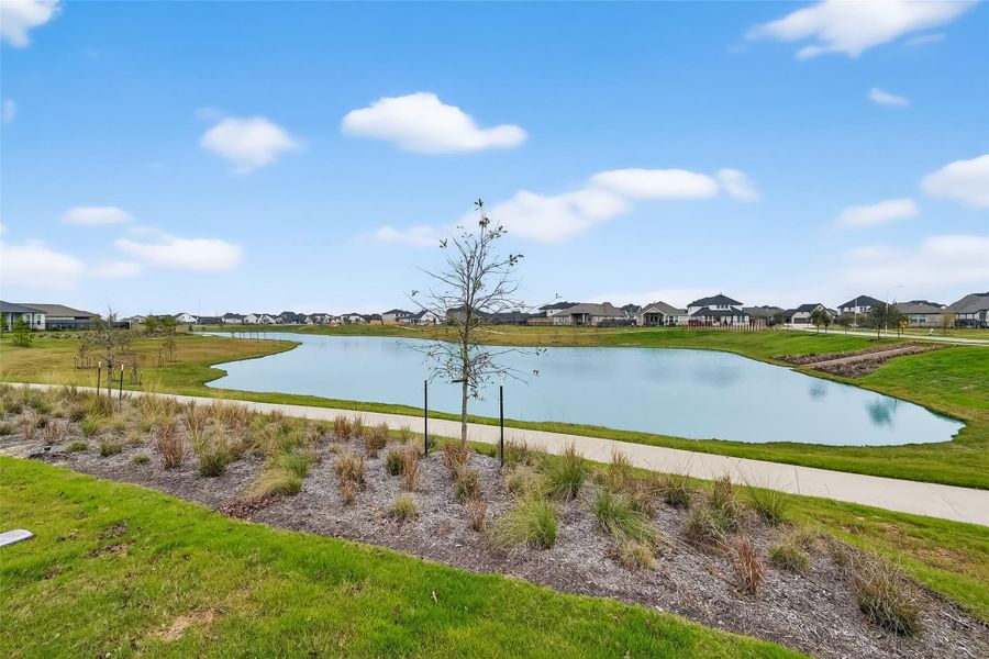 Natural landscape and outdoor views near Jubilee in Hockley (Image 45).