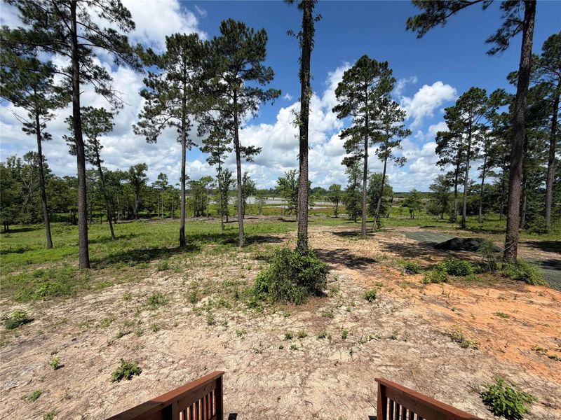 Natural landscape and outdoor views near in Broaddus (Image 33). Natural landscape and outdoor views near in Broaddus (Image 33).