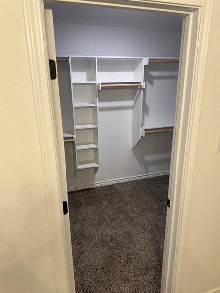 Spacious closet featuring carpet floors