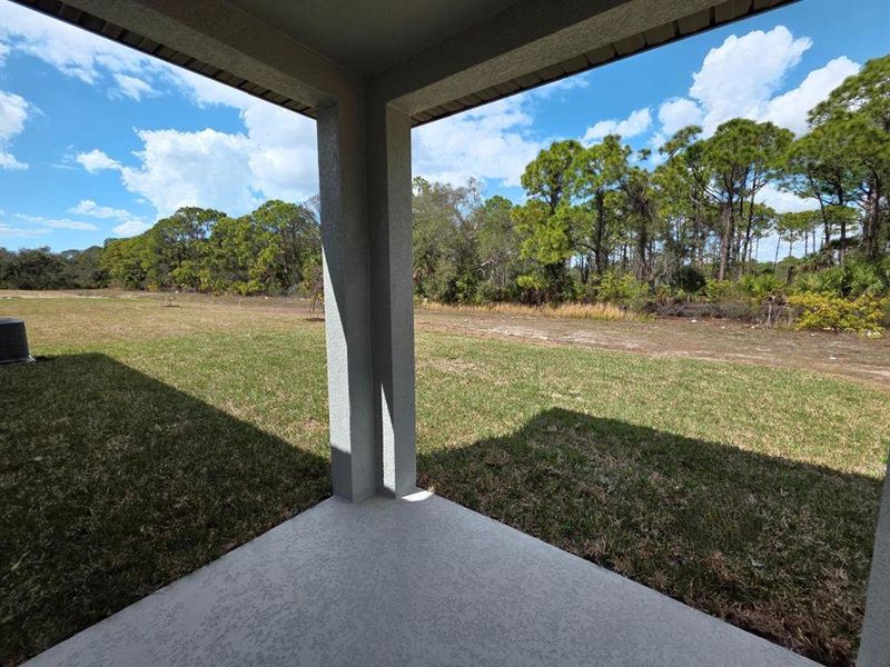 Exterior details and patio area of a home in Magnolia Bay - Classic Series, Nokomis (Image 13).