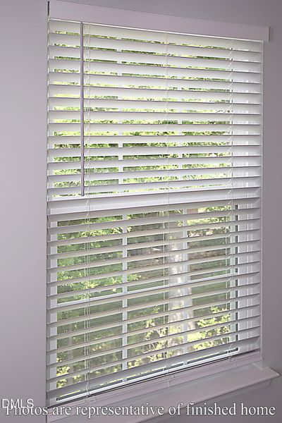 Window Blinds Window Blinds