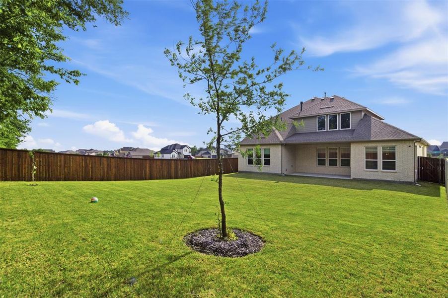 Spacious backyard featuring a manicured lawn, a young tree, and a full privacy fence