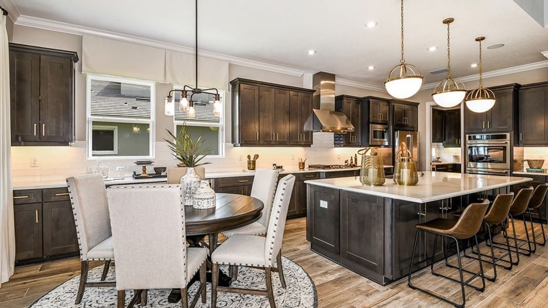 Image 16 representing the Acadia by Taylor Morrison in River's Edge, Wesley Chapel, FL.