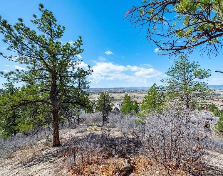 Natural landscape and outdoor views near  in Castle Rock (Image 13).