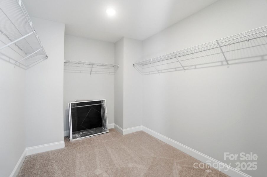 Walk in Closet