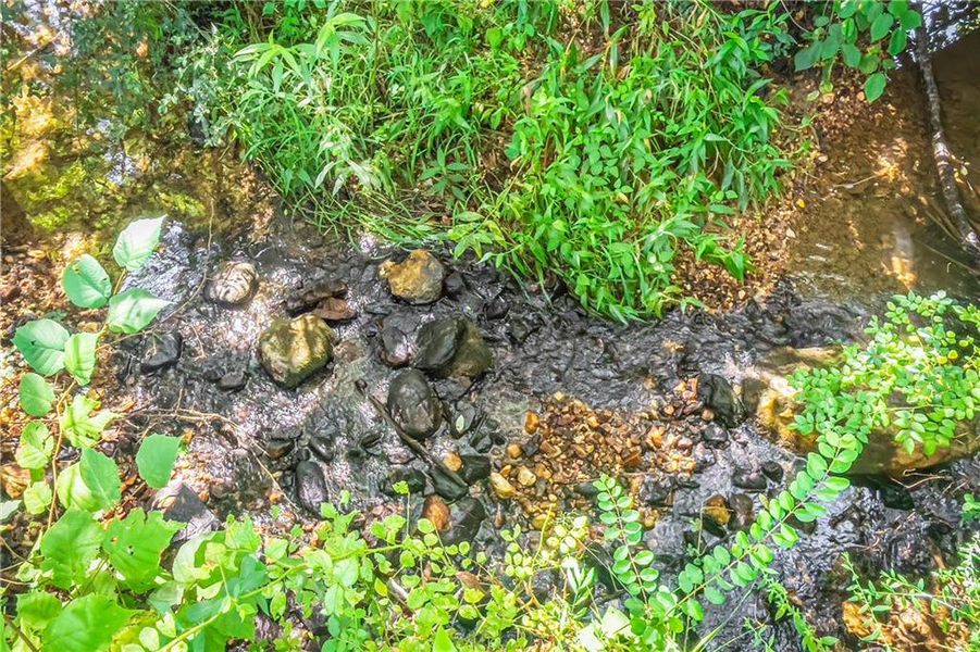 Natural landscape and outdoor views near  in Blairsville (Image 94).