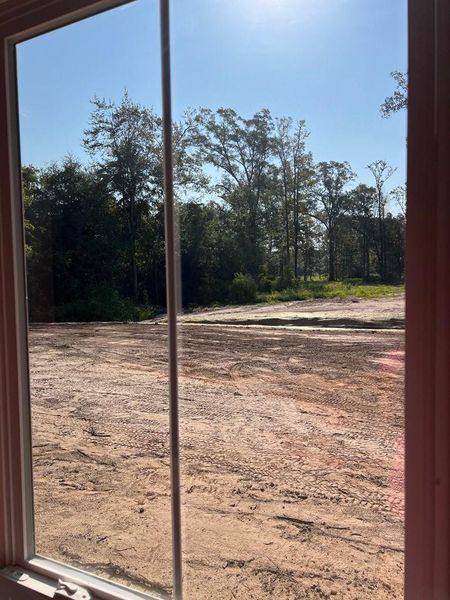 Looking out back from primary bedroom Looking out back from primary bedroom