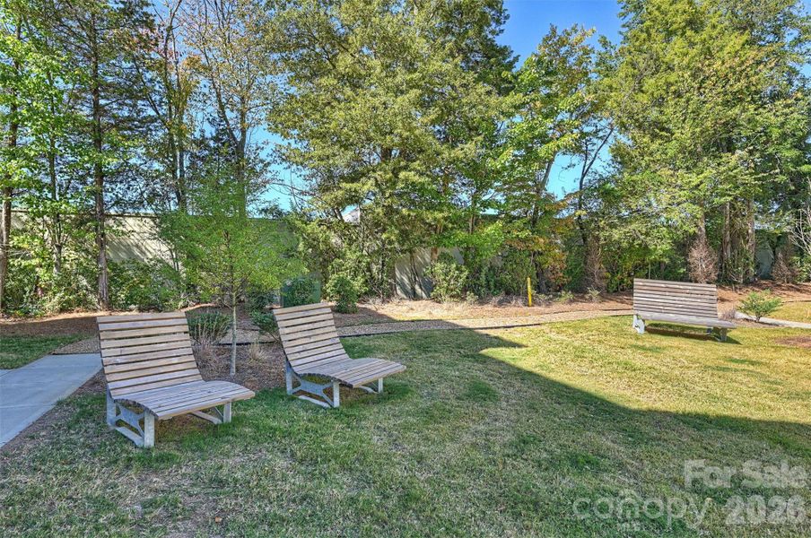 Natural landscape and outdoor views near  in Davidson (Image 40).