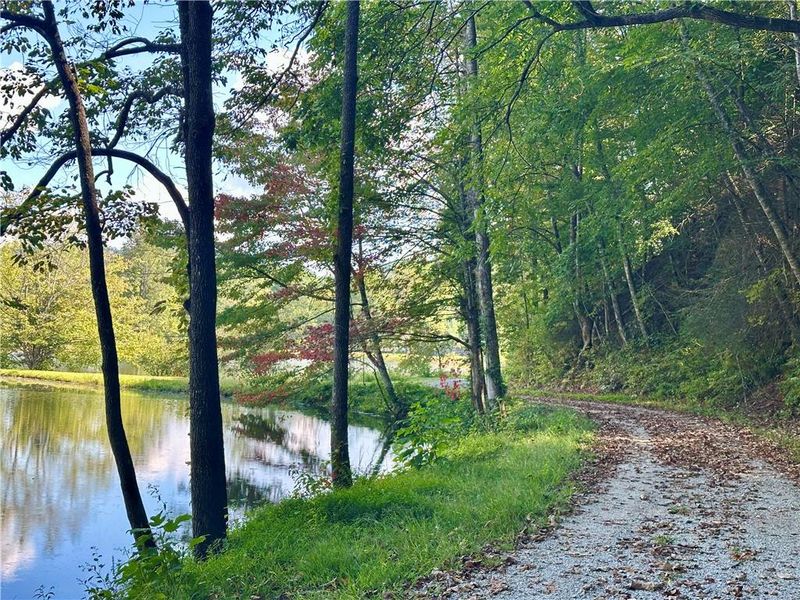 Natural landscape and outdoor views near in Clarkesville (Image 19). Natural landscape and outdoor views near in Clarkesville (Image 19).