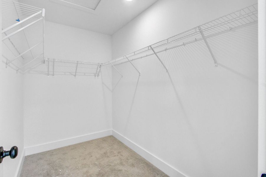 Spacious, unfurnished interior of a new home in , Charleston (Image 23).