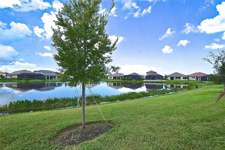 Natural landscape and outdoor views near  in Nokomis (Image 47).