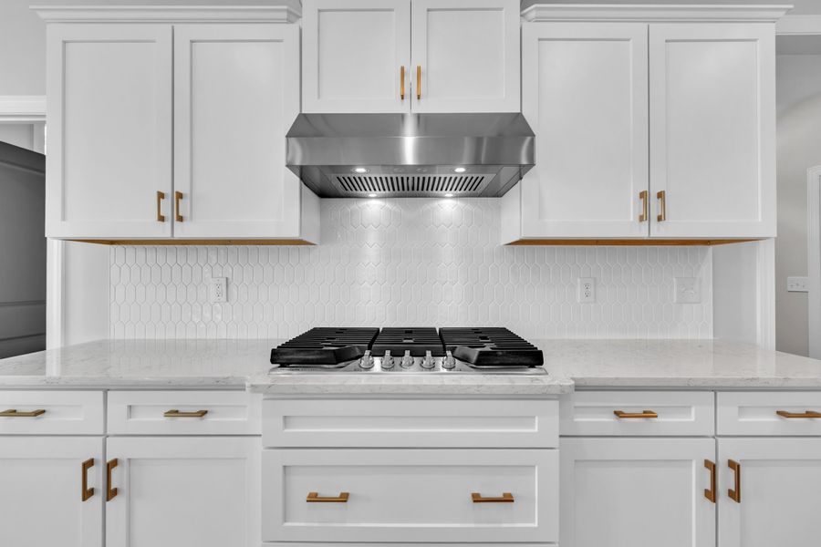 Representative interior finishes for a home built from the The Hampton by RobuckHomes in Kennebec Crossing, Angier (Image 24). Representative interior finishes for a home built from the The Hampton by RobuckHomes in Kennebec Crossing, Angier (Image 24).