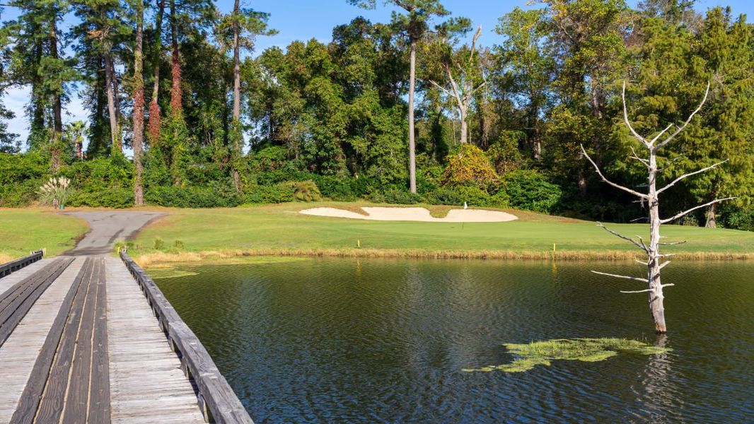 Image 13 of a home in Auberon Woods.