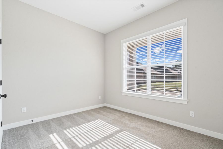 Bright interior room featuring a large window with horizontal blinds, light gray wall paint, white trim, and gray carpet flooring