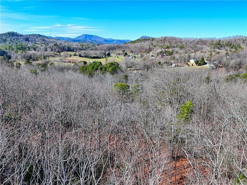 Natural landscape and outdoor views near  in Clayton (Image 130).
