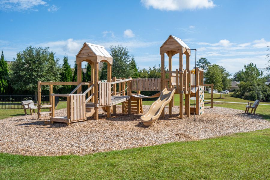 Community amenities in Saint John's Lake: Arbor Collection, Johns Island (Image 59).