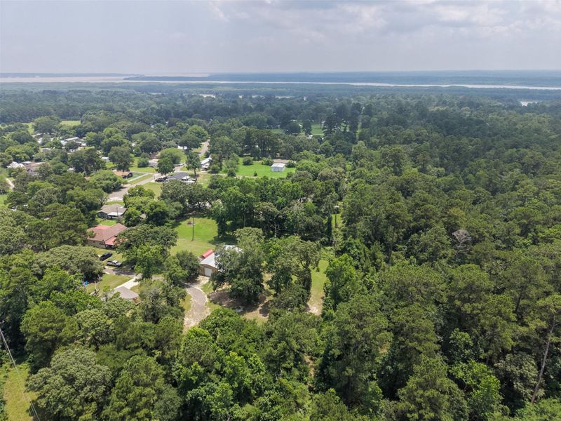 Natural landscape and outdoor views near  in Trinity (Image 25).