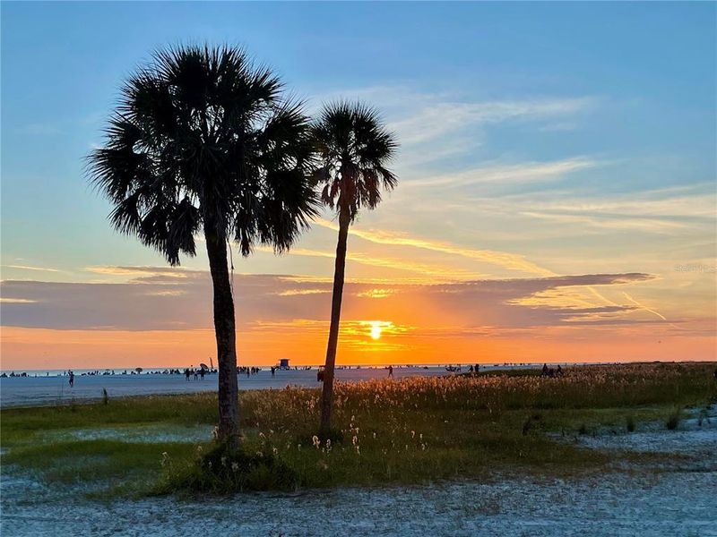 Natural landscape and outdoor views near  in Sarasota (Image 26).