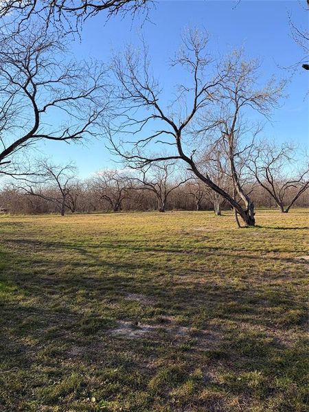 Natural landscape and outdoor views near  in Kemp (Image 22).